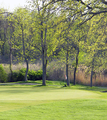 The Fairways at Twin Lakes