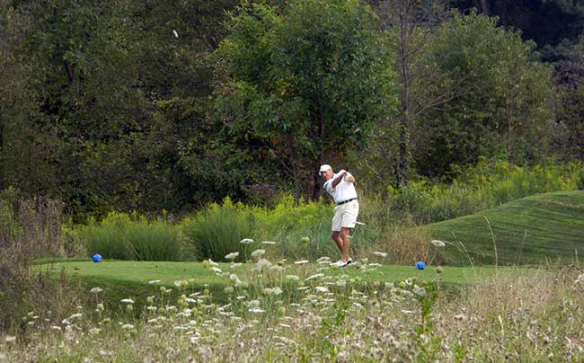 Allen Freeman hits his tee shot to the 17th green on Sunday at Chippewa.