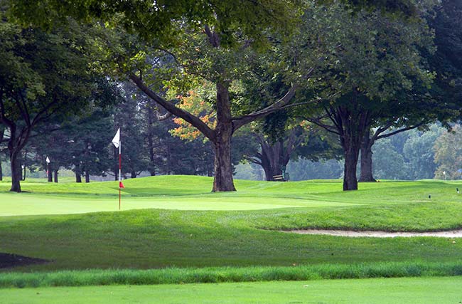 Shady Hollow Country Club Massillon 9th green