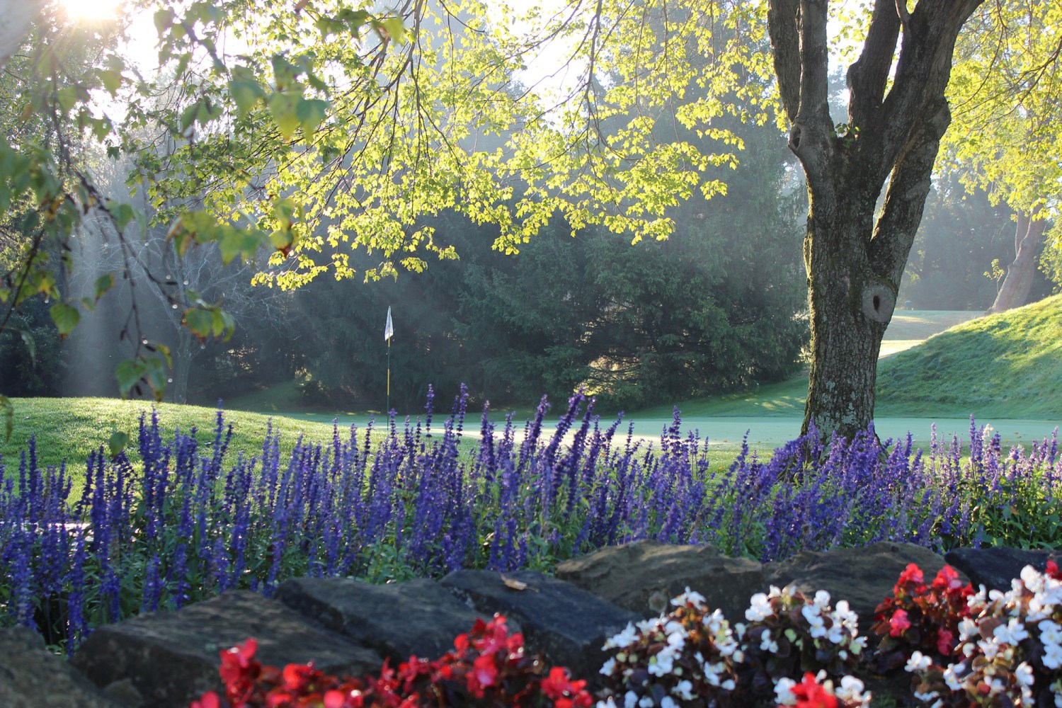Yankee Run Golf Course | Northern Ohio Golf