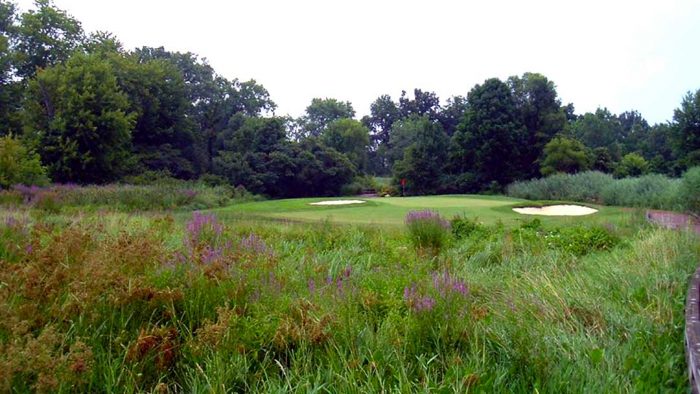 Rosemont Country Club Fairlawn Ohio #2 Green