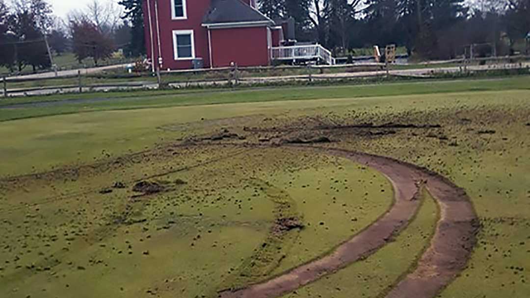 Vandals Destroy Green with Truck at Racoon Hill Vandals Destroy Green with Truck at Racoon Hill