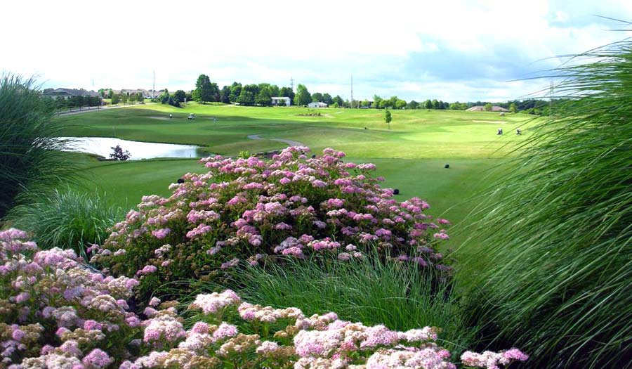 A well-landscaped course at The Legends of Massillon