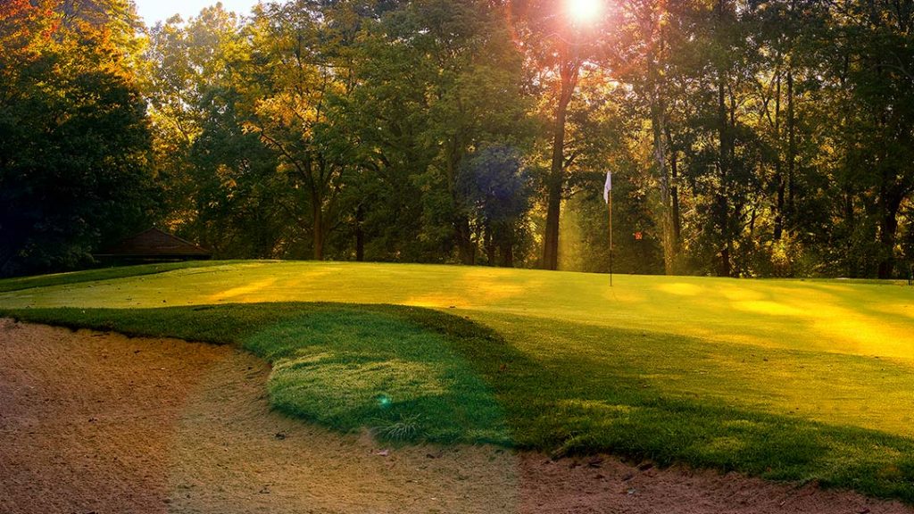 Elyria Country Club 8th green