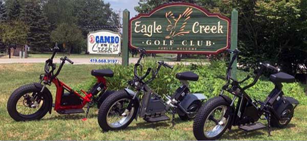 Eagle Creek Golf Experience - Norwalk, Ohio